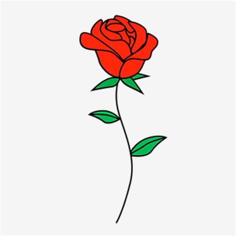 Rose Illustrations Clipart Transparent Background A Cartoon Red Rose