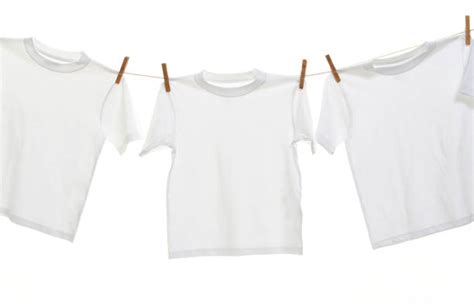 Clothesline Pictures Images And Stock Photos Istock