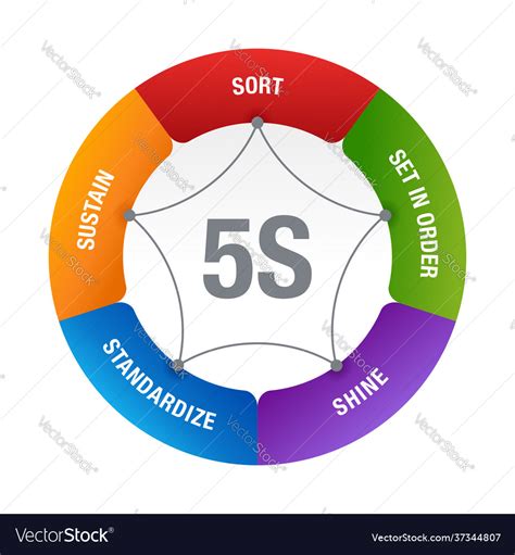 5s Workplace Organization Diagram Scheme Vector Image