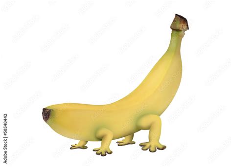 Genetically Modified Banana With Legs Photos Adobe Stock