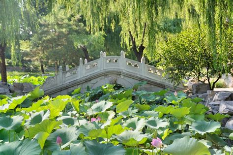 Сад Величественного Вида Grand View Garden Daguanyuan 大观园 Пекин