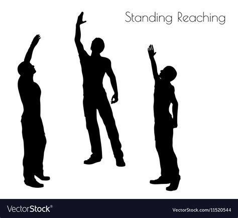 Man In Standing Reaching Pose On White Background Vector Image