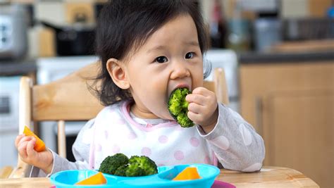 We do not host this video. Baby Meal Plan: 12 Month Old | Happy Family Organics