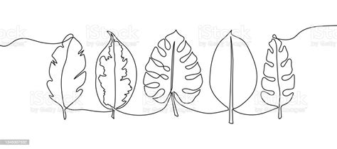 Exotic Leaves Continuous Line Drawing Set One Line Art Of Banana Palm
