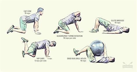 Ergonomic bikes reduce back pain as you re searching. The 7 Best Exercises for Low Back Pain, According to a ...
