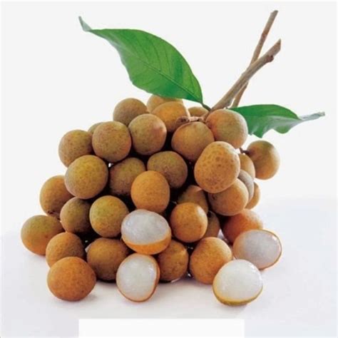 20 Ozlongan In Heavy Syrup Malee Refreshing Longan Canned With