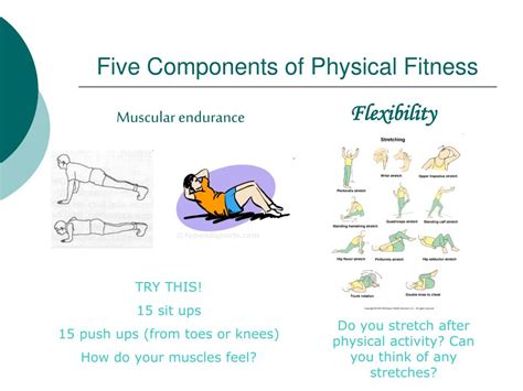Ppt Five Components Of Physical Fitness Powerpoint Presentation Free