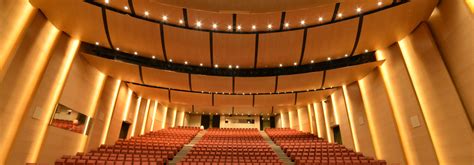 Perfopan® Wooden Acoustic Panel Systems Curved Ceiling Panels