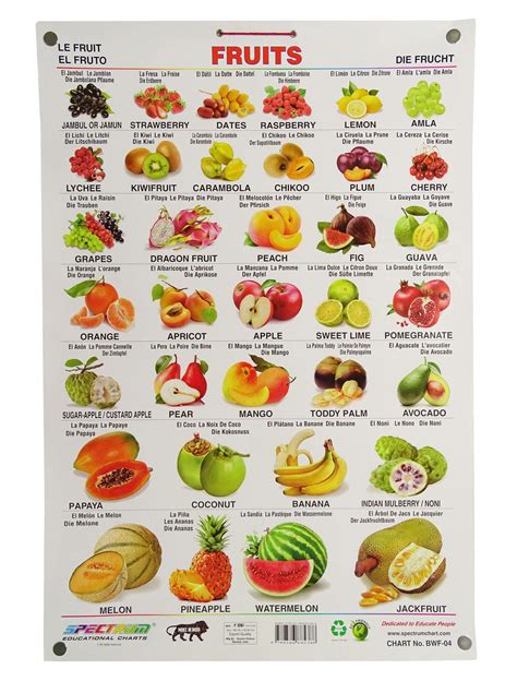 Buy Spectrum Pre School Kids Learning Laminated Educational Fruits