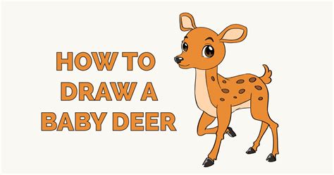 How To Draw A Baby Deer Really Easy Drawing Tutorial