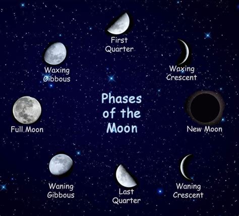 Different Phases Of The Moon Moon Moon Phases Moon Calendar