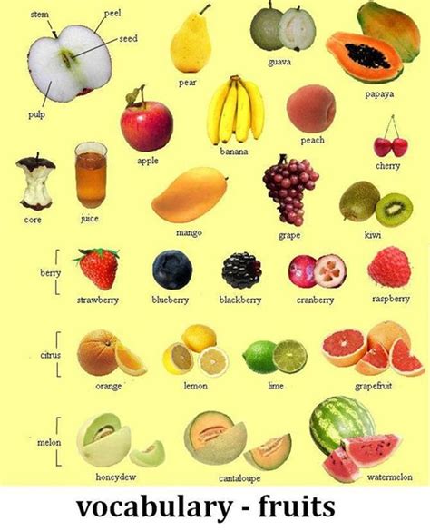 Fruit Vocabulary In English Vocabulaire Espagnol Orange Espagnol