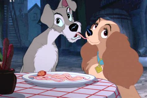 The Dog Breeds Of Lady And The Tramp A Look Into The Dogs Of The