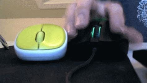 Mouse Gif Find Share On Giphy