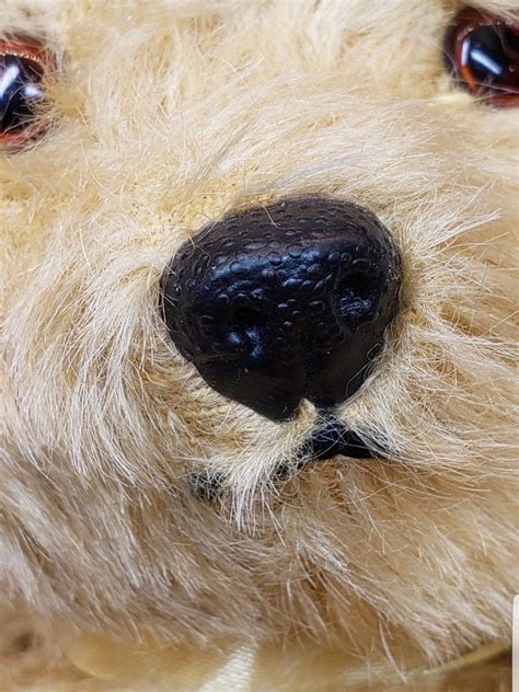 Vintage 1950s English Chiltern Mohair Bear Dog Nose Close Up Bear Dog