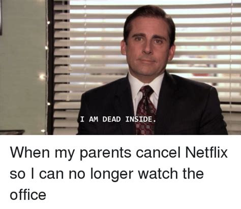 I Am Dead Inside Netflix Meme On Meme