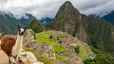 Machu Picchu French And Swiss Tourists Thrown Out Of Inca Citadel For