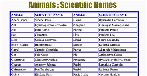 VEENA V NAIR: Animals : Scientific Names