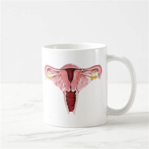 Female Reproductive System Mug Zazzle