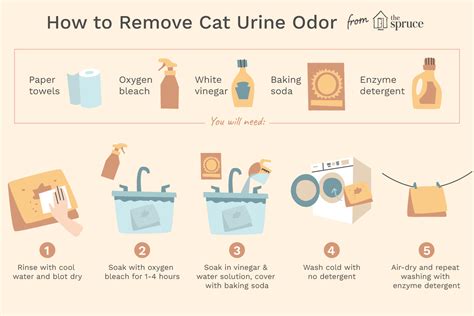 Illustration Of How To Remove Cat Urine Cat Urine Remover Cat Urine