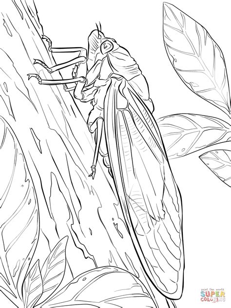 Green Grocer Cicada coloring page | Free Printable Coloring Pages