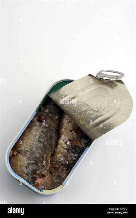 Tin Of Sardines Stock Photo Alamy