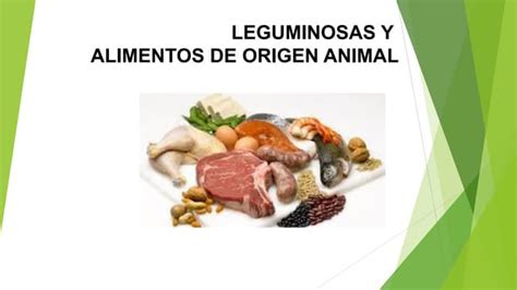 Leguminosas Y Alimentos De Origen Animalpdf