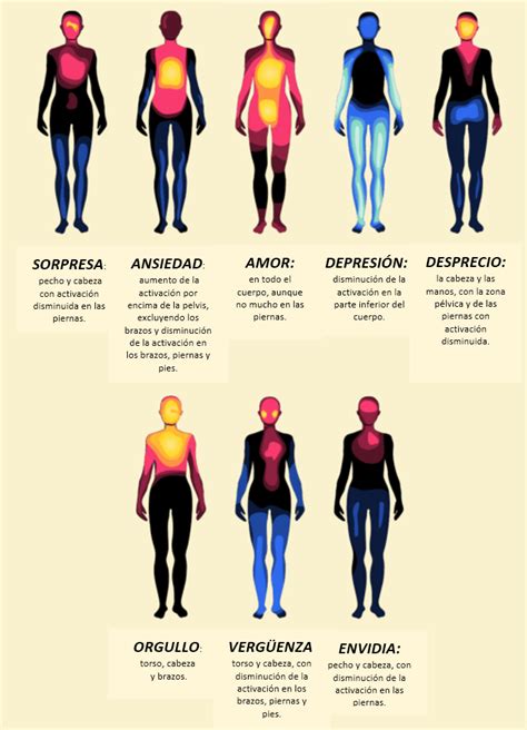 ¿dónde Se Sienten Las Emociones En El Cuerpo Esta Infografía Lo