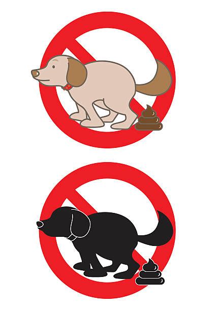 Royalty Free Dog Pooping Clip Art Vector Images And Illustrations Istock