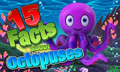 15 Interesting Facts About Octopuses