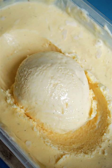 Homemade Vanilla Ice Cream My Gorgeous Recipes