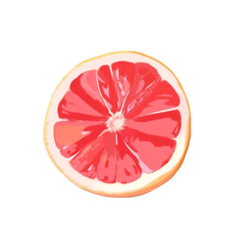 Grapefruit Png Transparent Grapefruit Fruit Slice Orange Png Image