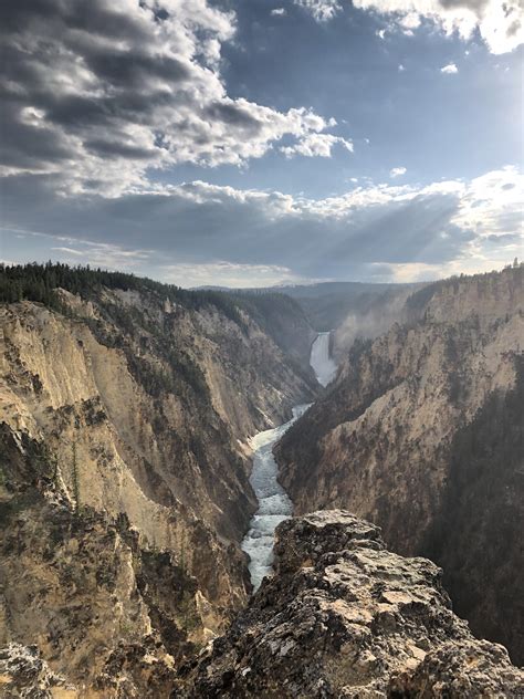 Lower Falls Of The Yellowstone River From Artist Point Yellowstone