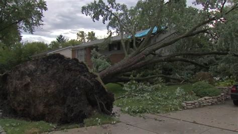 Chicago Weather Severe Storms Down Trees Power Lines Abc7 Chicago