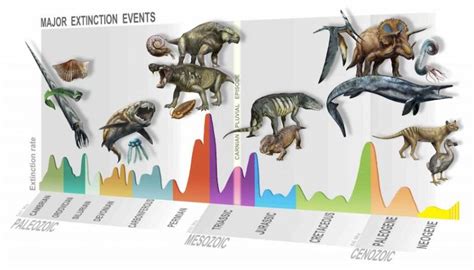 A Little Known Mass Extinction And The Dawn Of The Modern