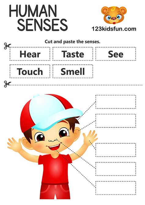 Human Body Printables 5 Senses Homeschooling 123 Kids Fun Apps