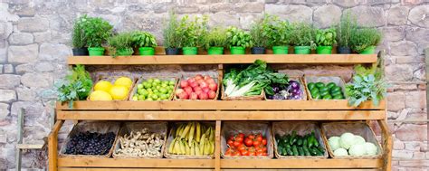 5 astuces pour conserver vos aliments