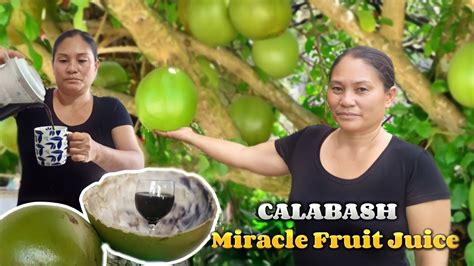 How To Make Miracle Fruit Juice Vlog No 18 Youtube
