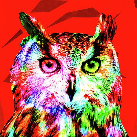 Abstract Colored Owl Ii Painting By Alan Galindo Fine Art America