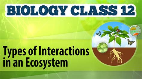 Types Of Interactions In An Ecosystem Organisms And Environment 2