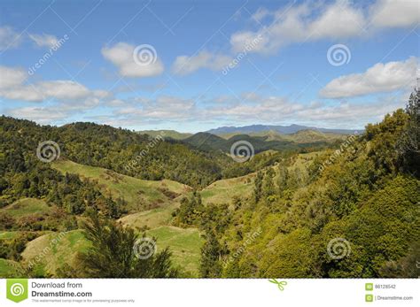New Zealand Hills And Landscape With Meadows Stock Photo Image Of