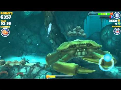 Sharks are named and tagged with a tracker by the organization; Hungry Shark Evolution Crab Lair Attempt 1 - YouTube