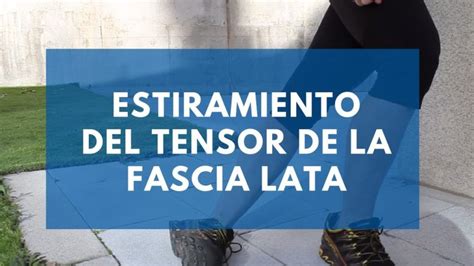 Como Estirar El Tensor De La Fascia Lata Actualizado Septiembre 2022