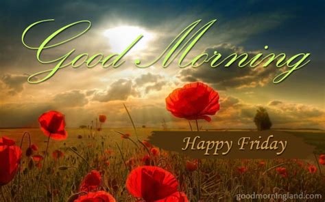 Happy Friday Design Good Morning Images Quotes Wishes