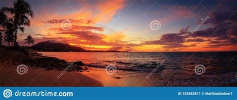 Red Sunset Panorama On The Caribbean Beach With Palm Trees Puerto