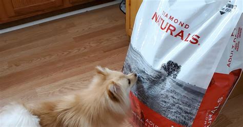 No dog food products were affected. Buy One, Get One FREE Diamond Naturals Dog Food Bags on ...