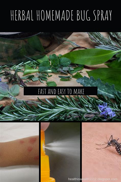 A really easy natural insect repellent recipe. HERBAL HOMEMADE BUG SPRAY (fast and easy to make) | Homemade bug spray, Herbalism, Bug spray