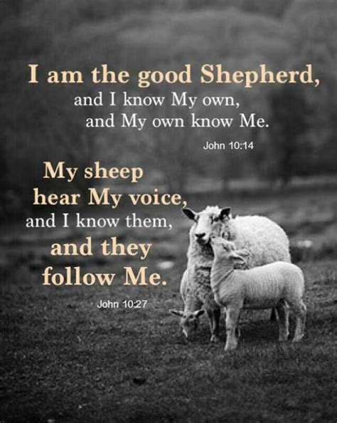 John 1027 My Sheep Know My Voice And I Know Them And They Follow Me