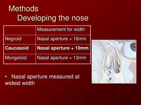 ppt facial reconstruction anatomical method vs tissue depth method powerpoint presentation