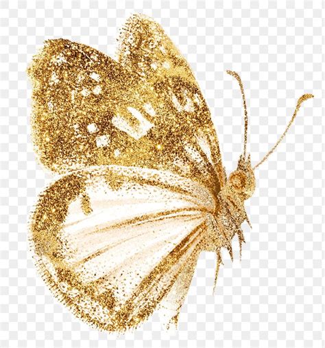 A Golden Butterfly With White Wings And Gold Glitters On Its Wings